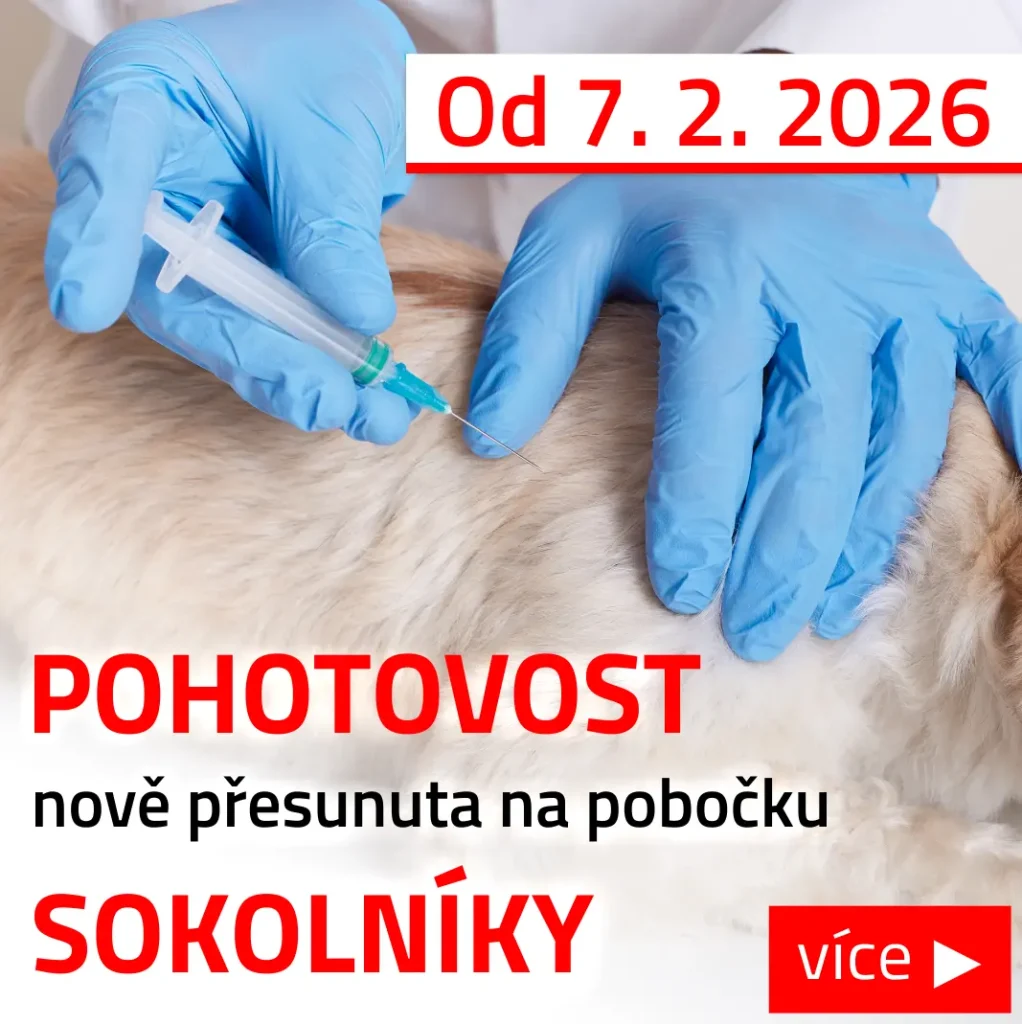 veterina pohotovost praha